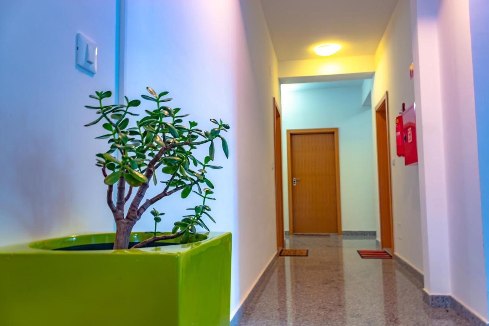 Apartment Botic Poreč Dış mekan fotoğraf
