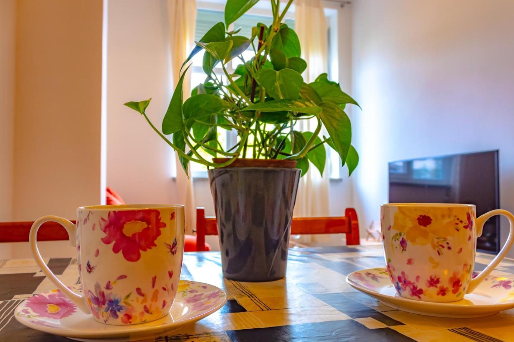 Apartment Botic Poreč Dış mekan fotoğraf