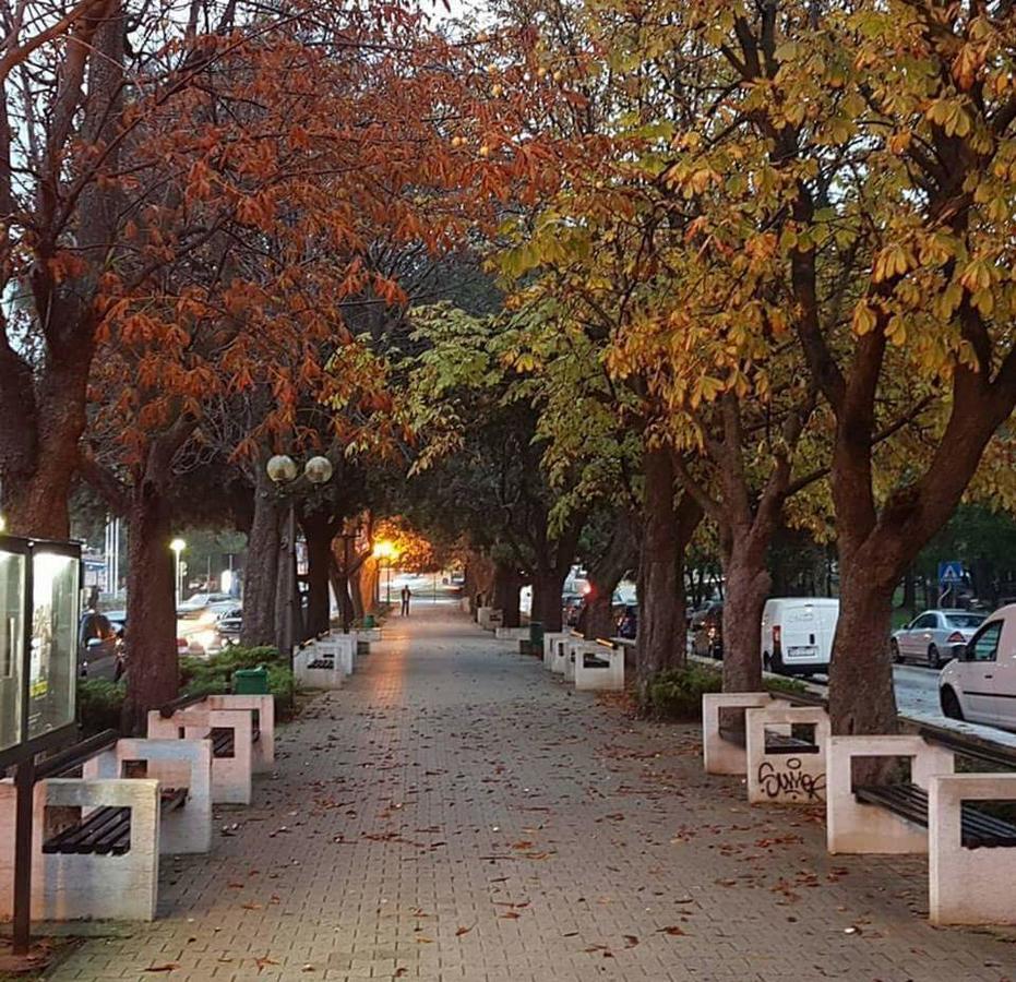 Apartment Botic Poreč Dış mekan fotoğraf